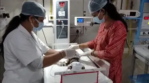 Baby Interred Alive in the Country Fights for Her Life